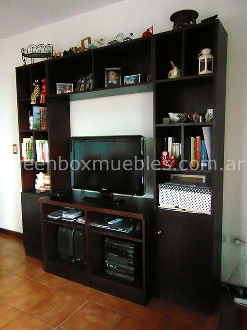 Modular tv, audio y guardado
